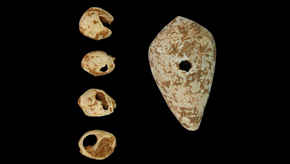 "Sarkıt ve dikitler geçmişte karada olduklarını gösteriyor"