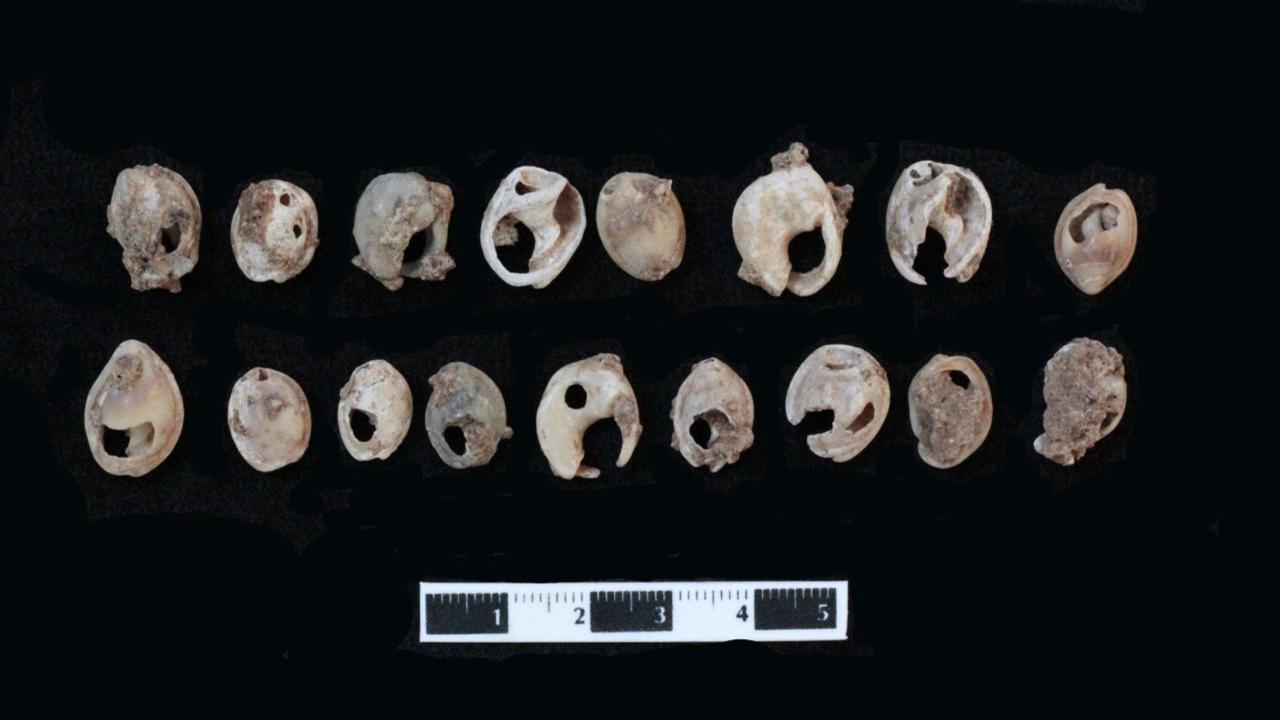 "2022’de arkeolojik kazı çalışmalarına başlayacağız"