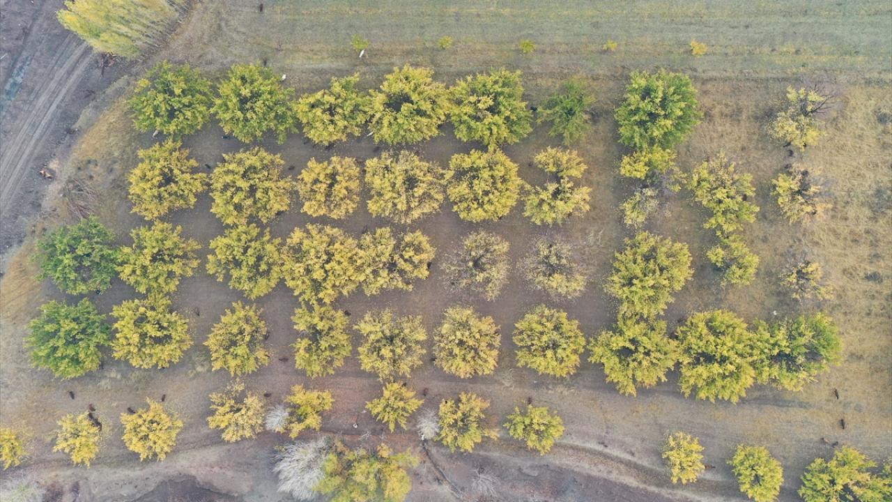 "Doğaseverleri kentimize bekliyoruz"