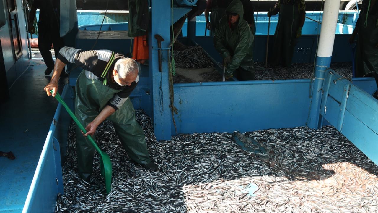 "Palamuttan yüzü gülmeyen balıkçılarımız hamsiyle güldü"