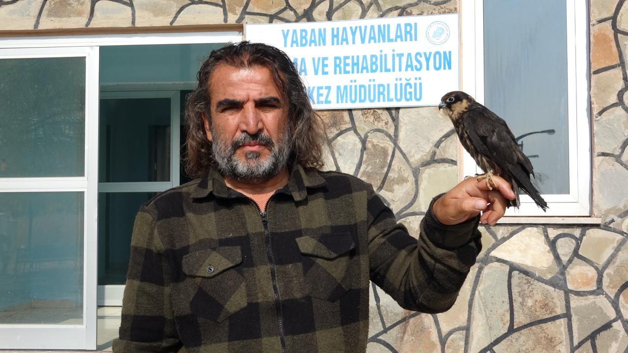 “300’ün üzerinde çeşitli türden hayvan getirildi”