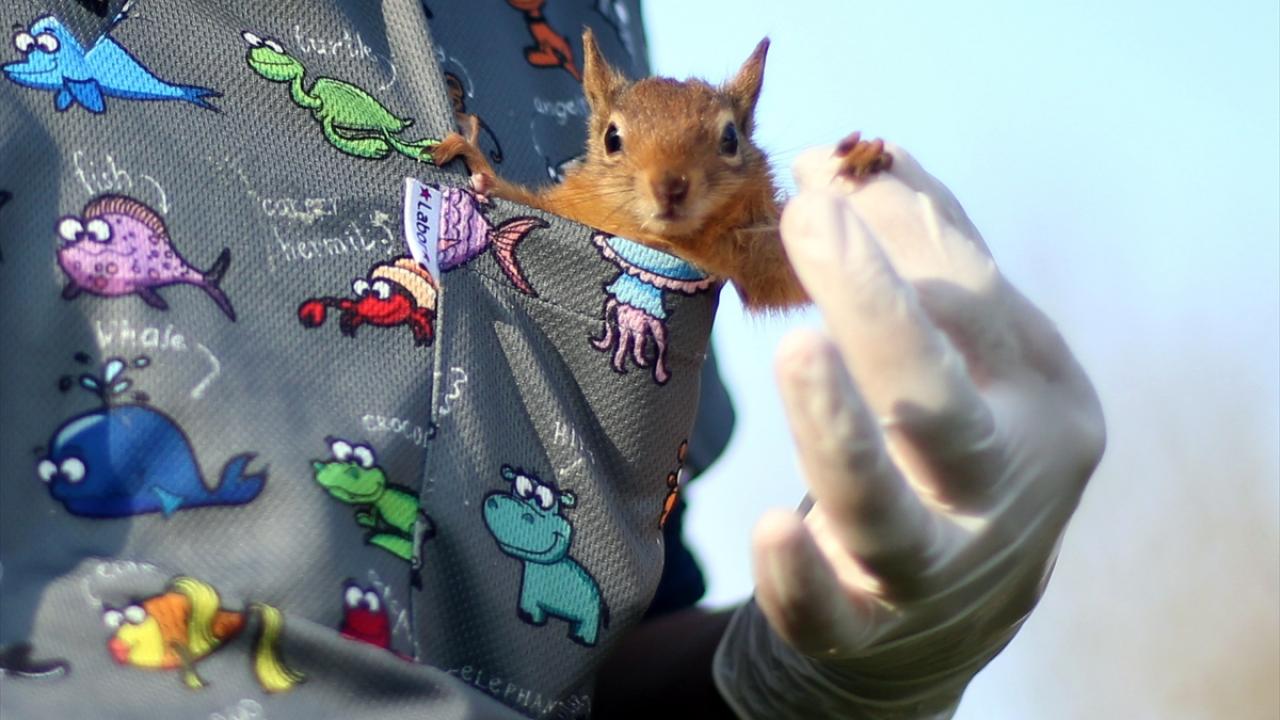 "Süt ve bebe bisküvisi karışımıyla besliyoruz"