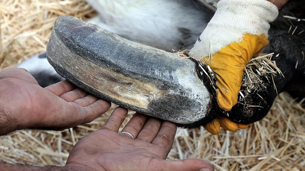 "1,5 ay sonra sağlıkla ayaklarının üstüne basabilecek"