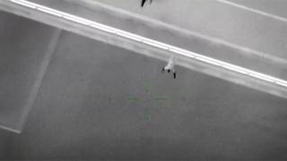 Yakalanmamak için nehre atlayan hırsız deniz polisinden kaçamadı