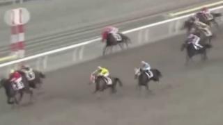 Fenomen at: Sumomomomomomomomo