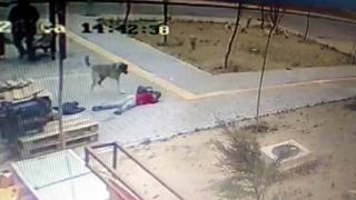 Başıboş köpekler yolda yürüyen çocuğa saldırdı