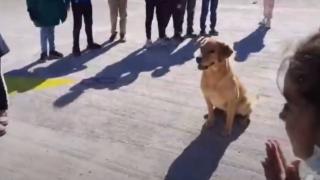 "Can dostlar" öğrenciler için gösteri yapıyor