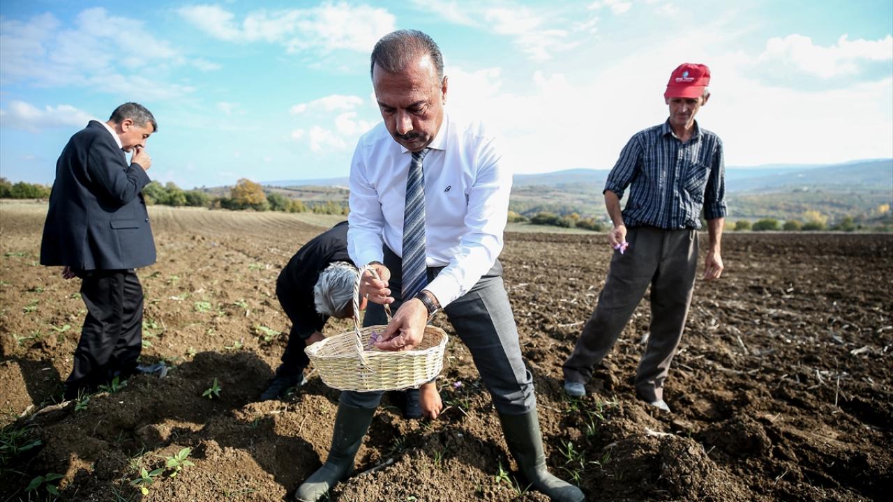 "Hedefimiz birkaç yıl içinde 100 dekara ulaşmak"