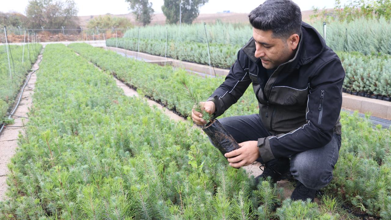 Yangınlarda 9 bin 500 hektarın zarar gördüğü bilgisini veren Akduman, 