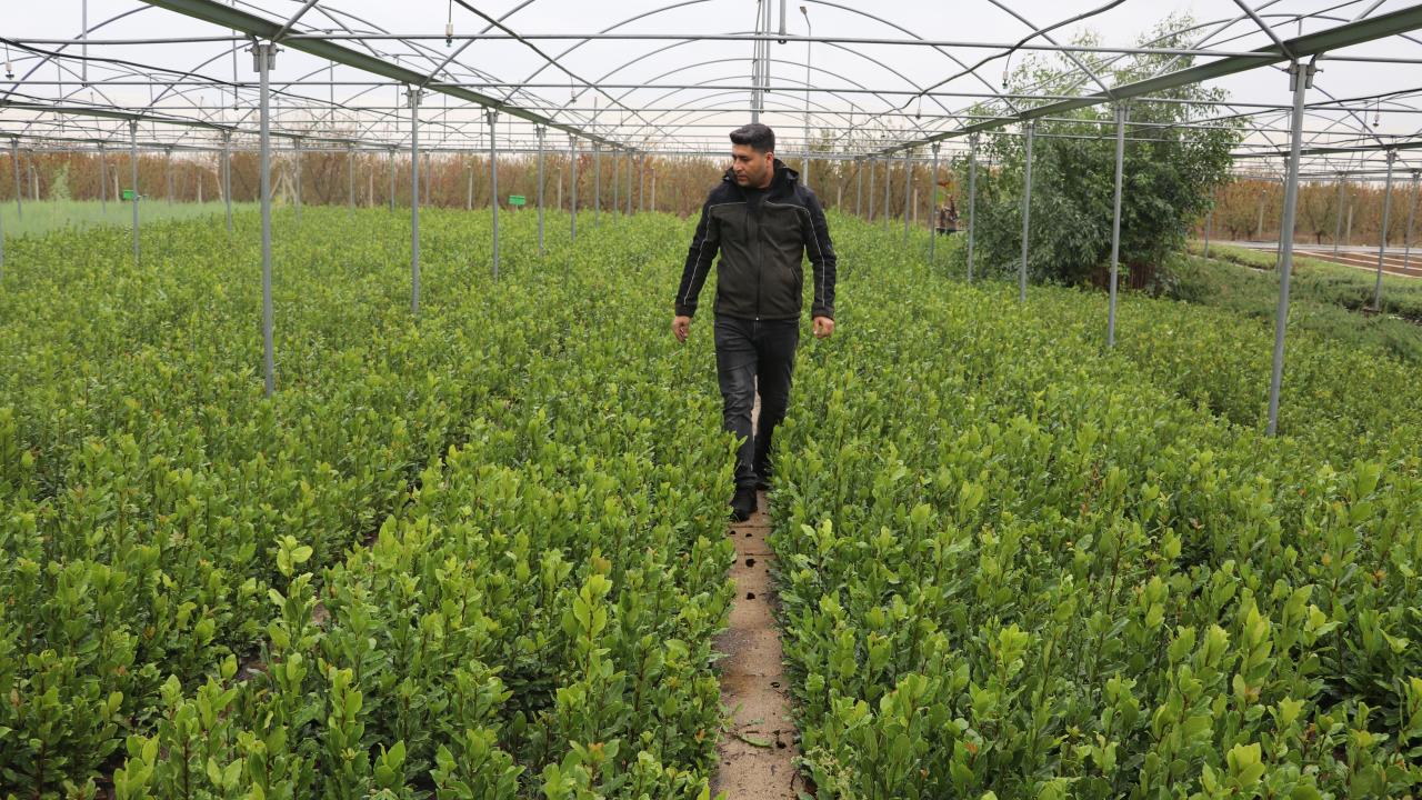 Akduman, Milli Ağaçlandırma Günü kapsamında yapılacak çalışmalara ilişkin tüm hazırlıkların tamamlandığını belirterek, şunları kaydetti: