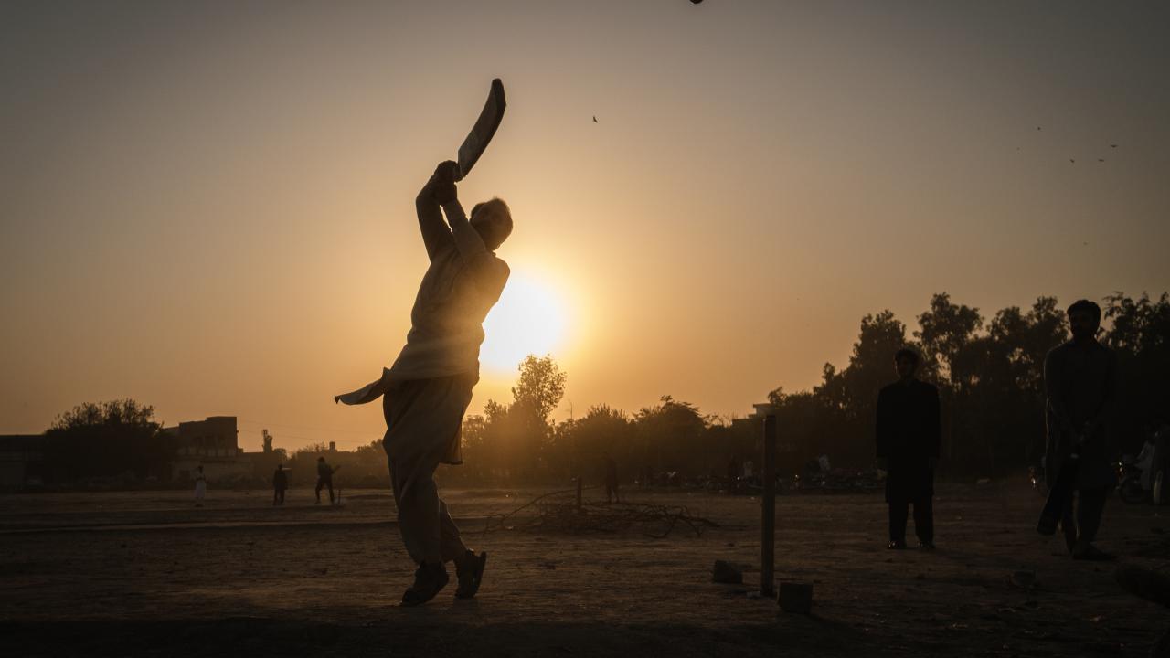 Gün batımı sırasında kriket 