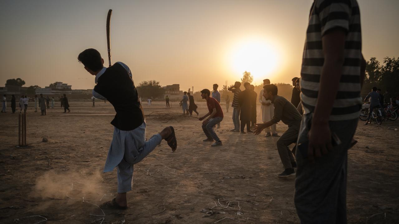 Gün batımı sırasında kriket 