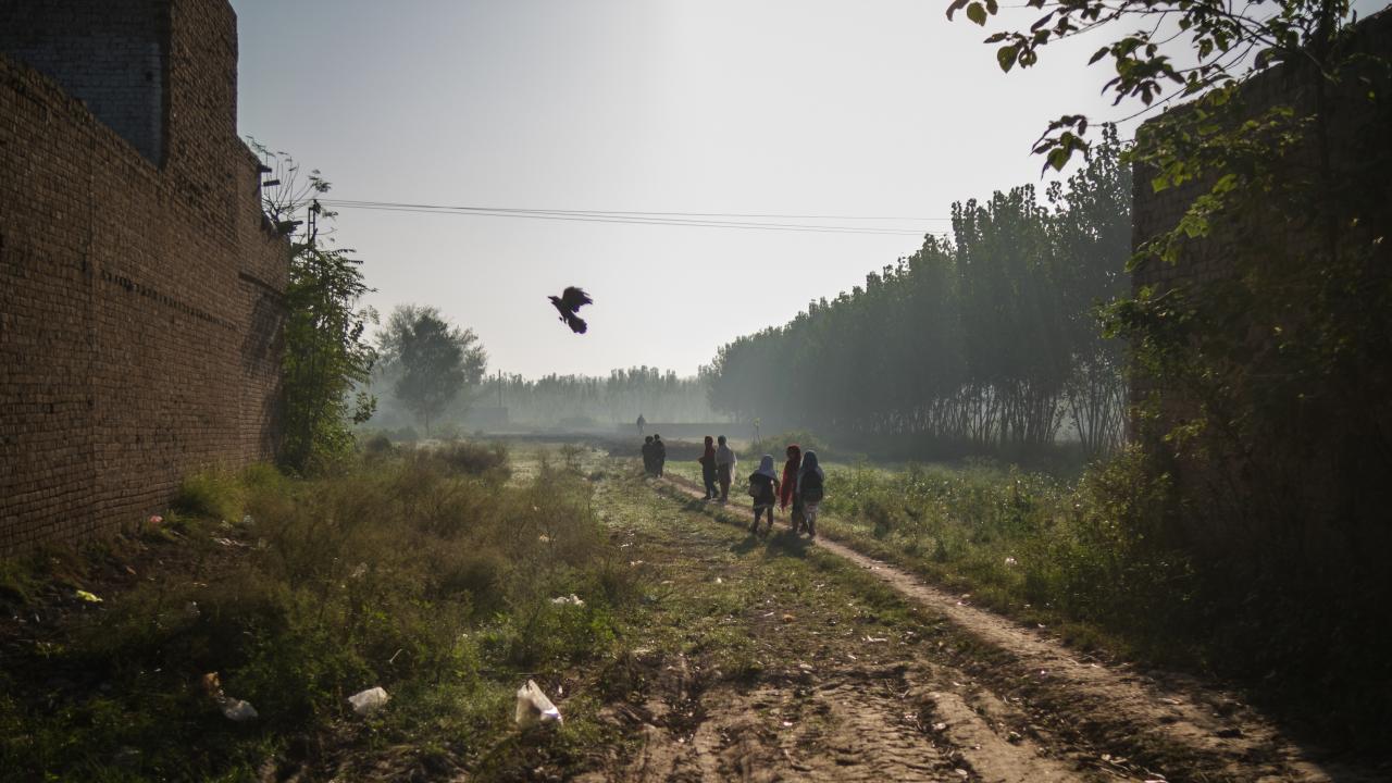 Çocuklar ormandan geçerek okula gidiyor