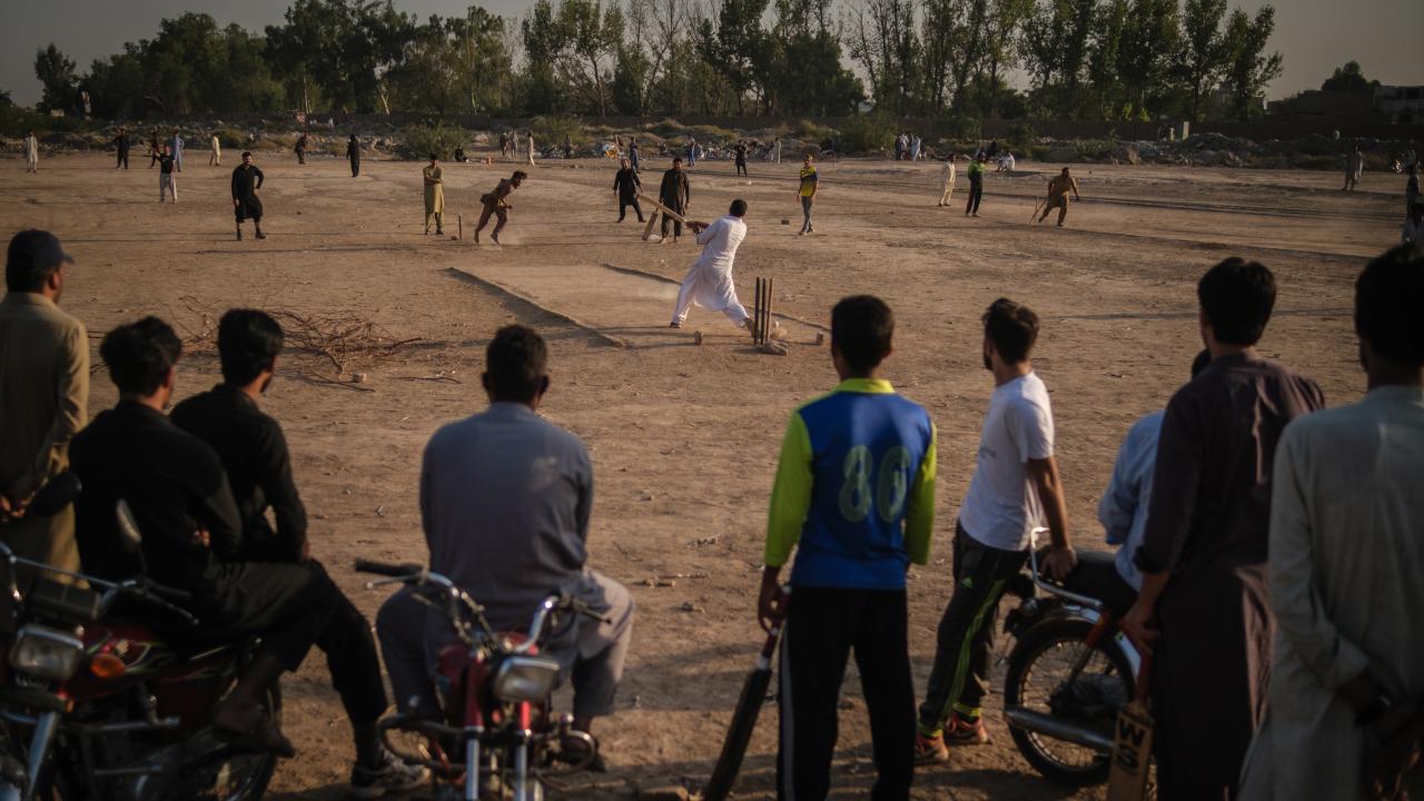 Gün batımı sırasında kriket keyfi