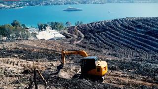 Yanan ormanlar ekonomiye geri kazandırılıyor