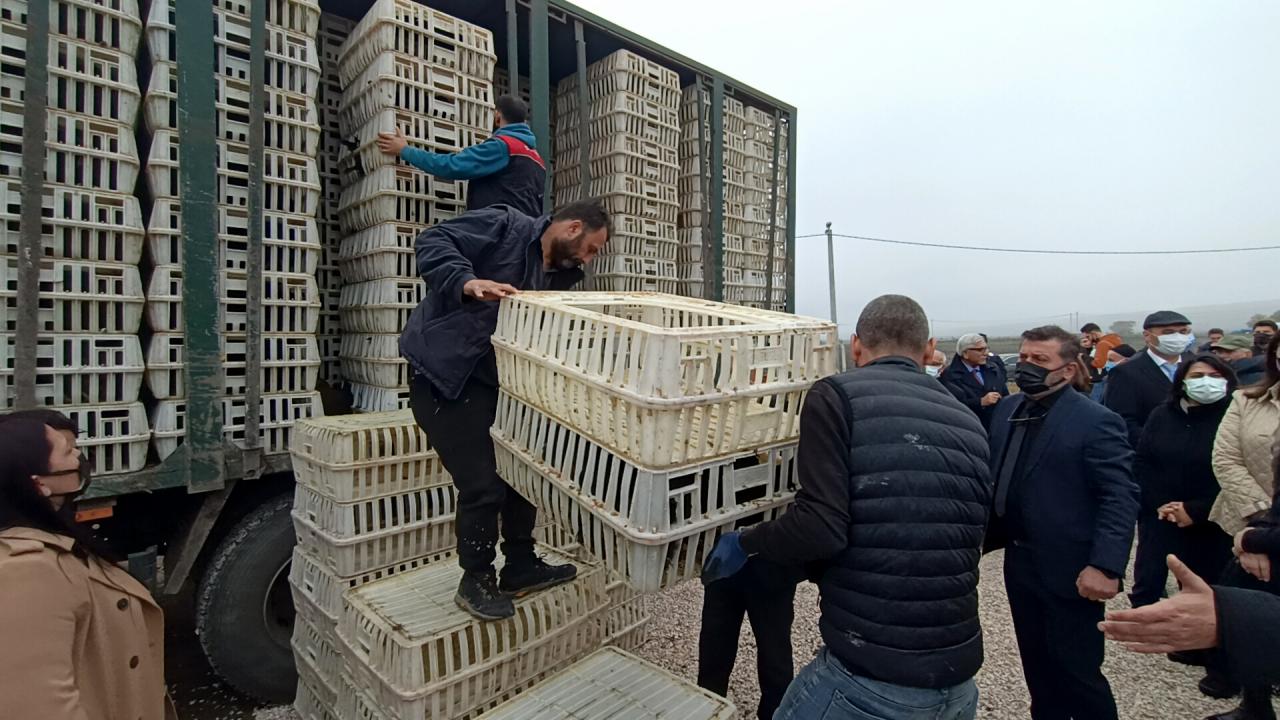 Atak-S tavuğu dağıtılacak