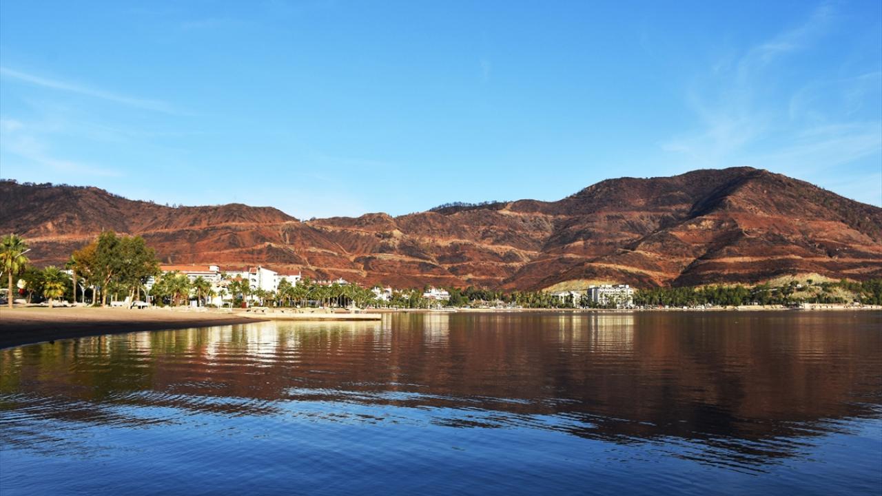"Şehidimiz Şahin Akdemir`i bu hatıra ormanında yaşatacağız"