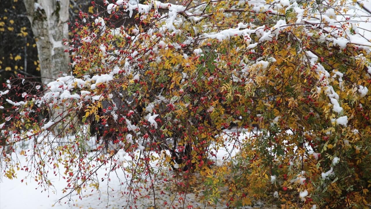 Abant`ta sonbahar ve kış bir arada yaşanıyor