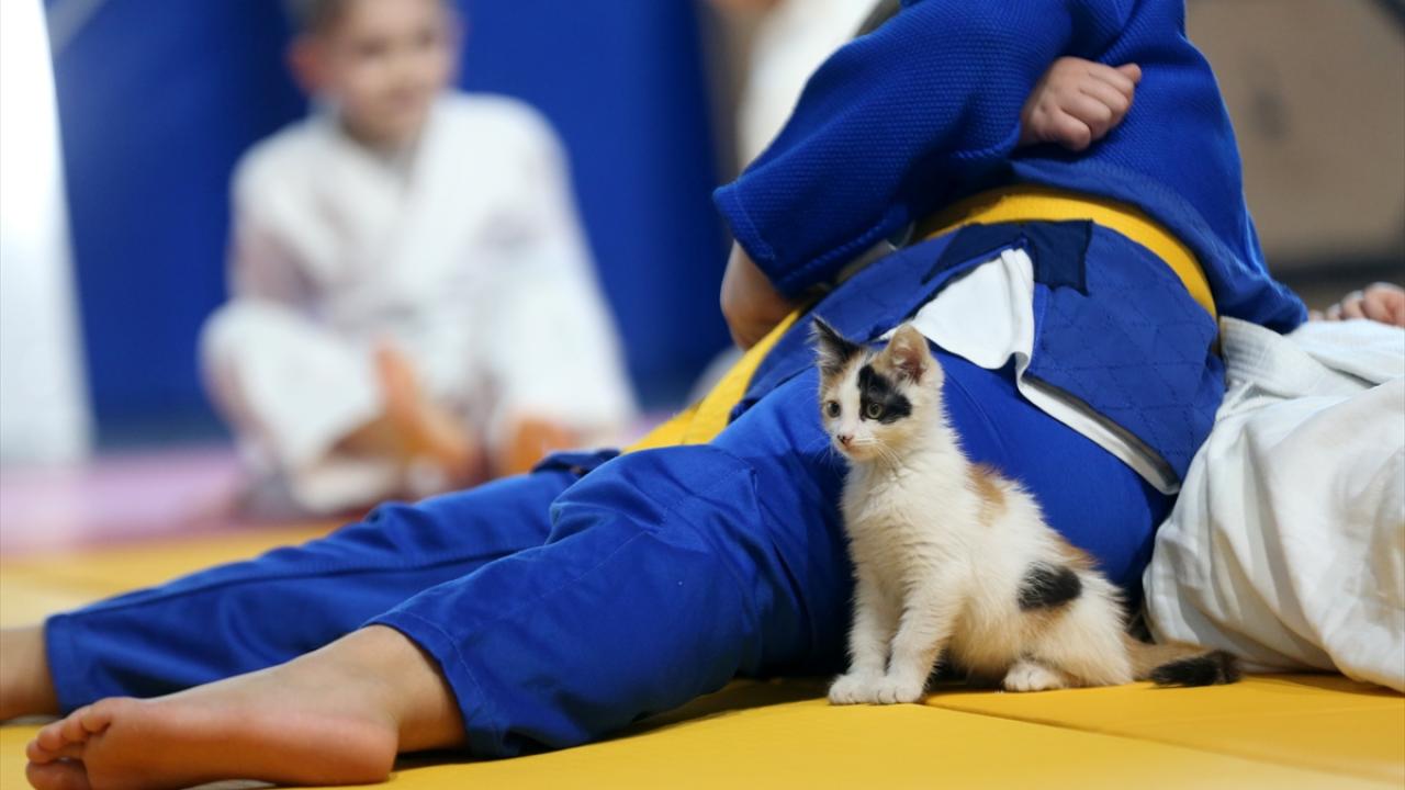 "Hepimizle kaynaştı"