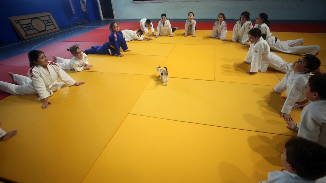 "Antrenmanlarda araya kaynıyor"