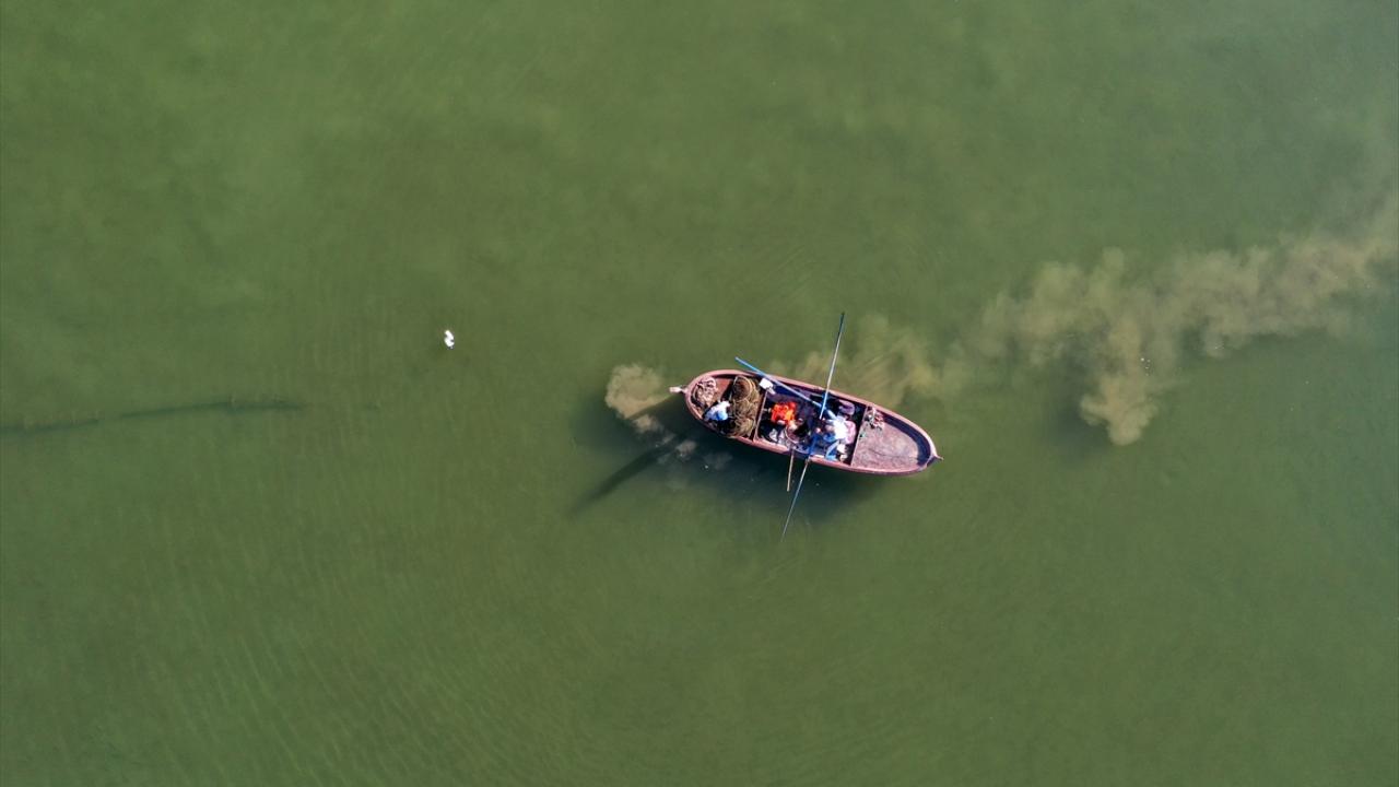 Cebelitarık`ta cam, Akdeniz`de sarı renge bürünüyor