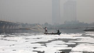 Hindistan'da Yamuna Nehri zehirli köpükle kaplandı