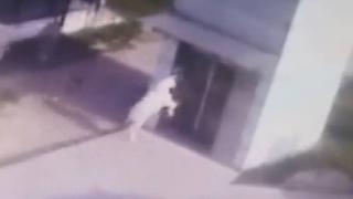 Agresif keçi yansımasına kafa attı