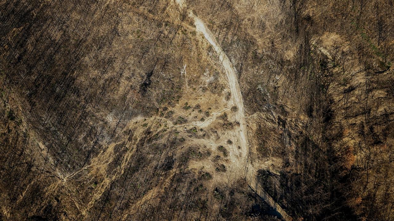 Bu mevsim 4 milyon fidan dikilecek