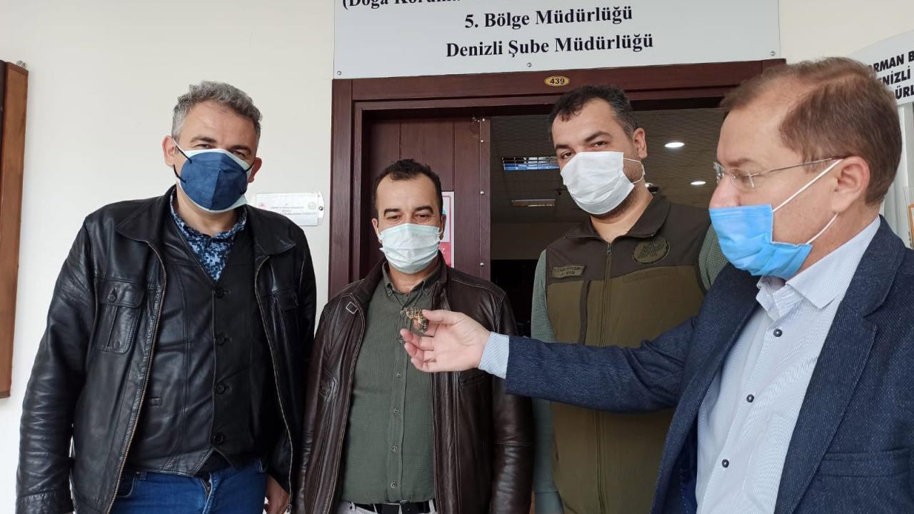 "Siyam ikizi kaplumbağaları yaşatmaya çalışacağız"