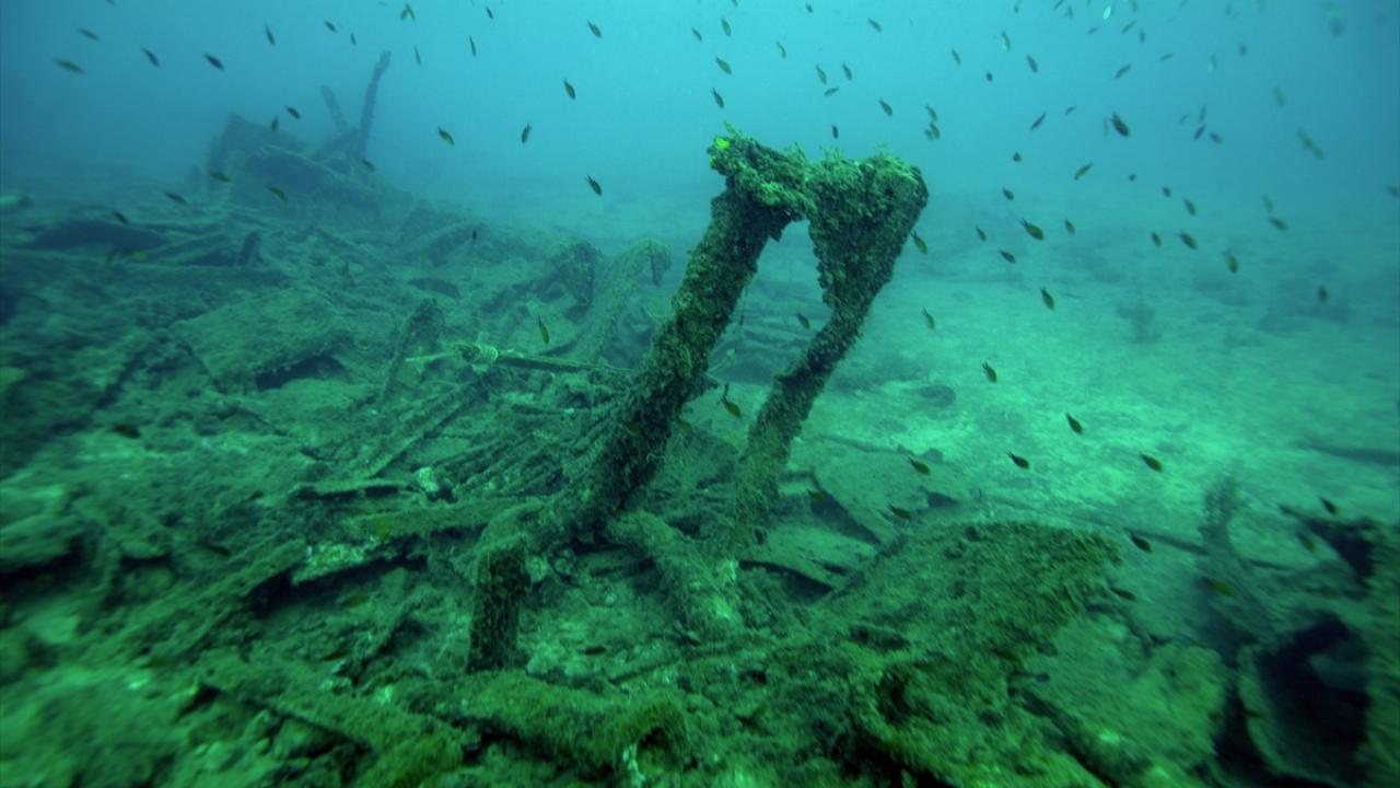 "Dünyanın en önemli dalış merkezlerinden biri olacak"
