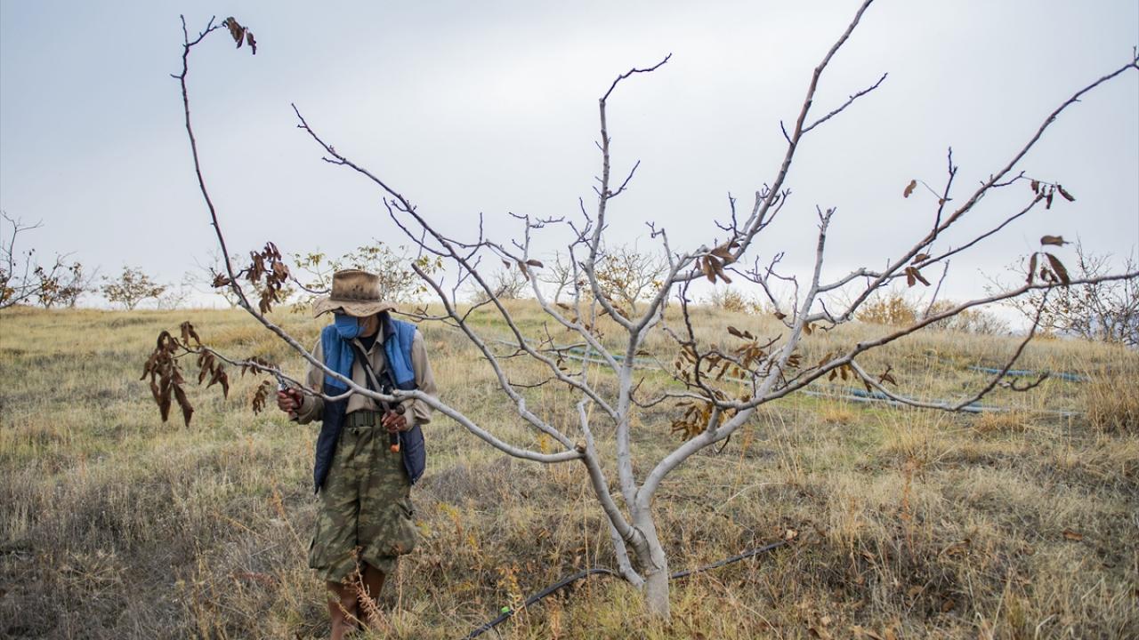 Yöre sakinlerince Robinson Crusoe`ye benzetiliyor