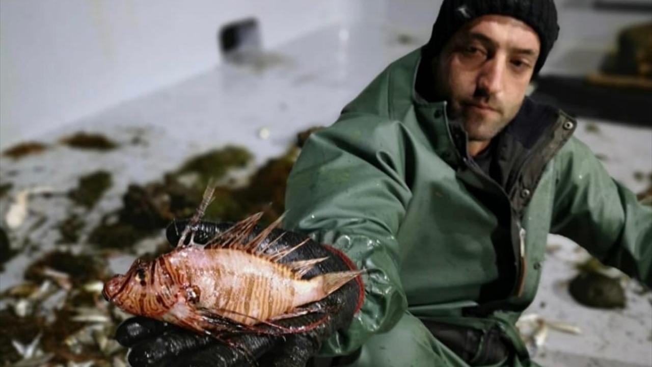 "Ticaretinin yapılması mücadele için önemli bir araç"