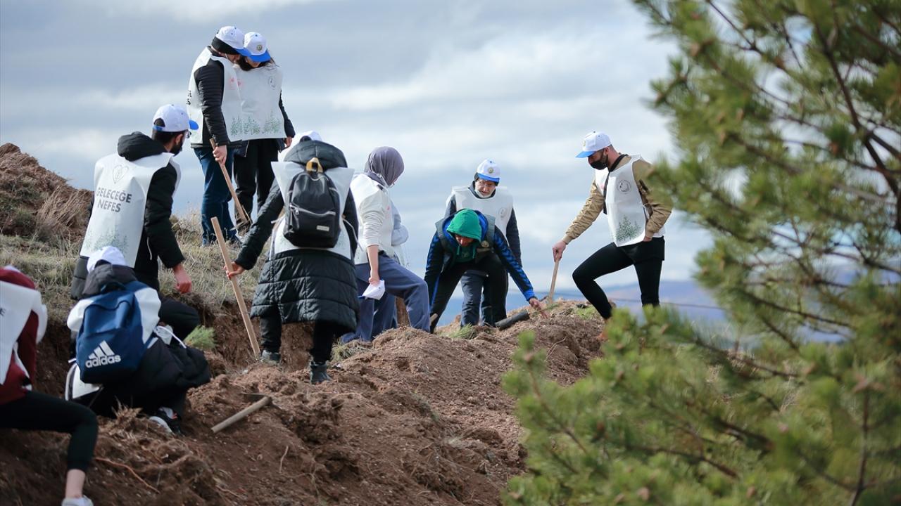 "81 ilimize 81 Millet Ormanı kuracağız"