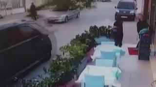 Rüzgara dayanamayan ağaç otomobilin üzerine devrildi