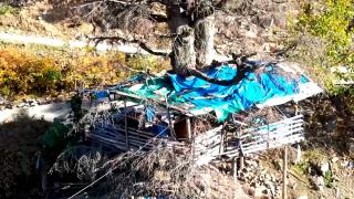 Ormanın içindeki ağaç evde huzur dolu bir yaşam