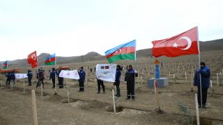 Azerbaycan'da da fidanlar toprakla buluştu