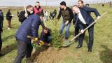 Havza'da Milli Ağaçlandırma Günü dolayısıyla fidan dikimi yapıldı