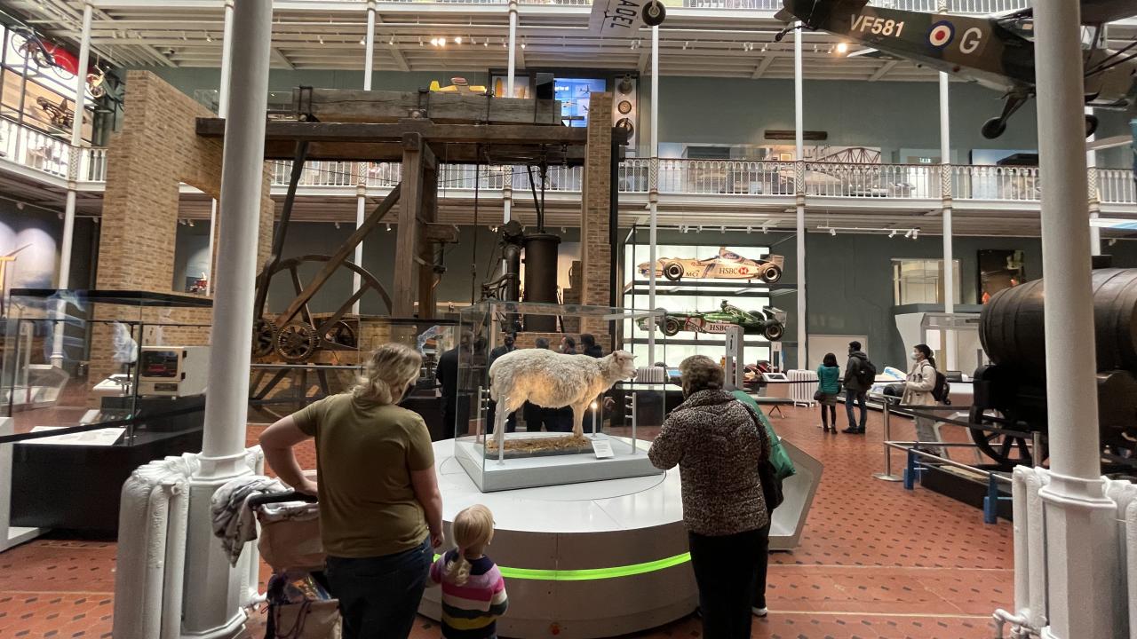 Klon koyun Dolly`nin tahniti de müzede yer alıyor