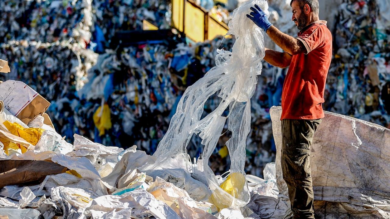 10 ülkeye ihracat yapılıyor