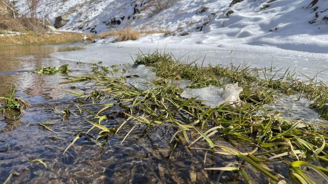 Bayburtun yüksek kesimlerindeki derelerin yüzeyi buz tuttu
