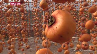 Bilecik'te cennet hurması bölgenin gelir kapısı oldu