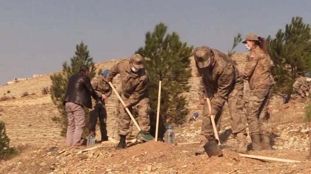 Jandarma bin 111 fidanı toprakla buluşturdu