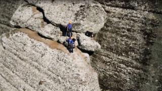Kayalıkta mahsur kalan keçileri AFAD kurtardı
