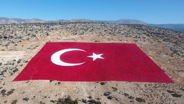 Mersinde 22 dönümlük araziye işlenen Türk bayrağı boyandı