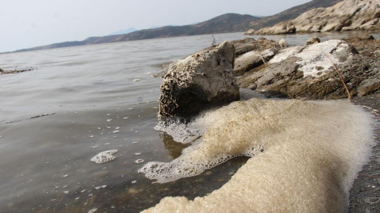 “Canlılar için tehlike oluşturuyorlar”