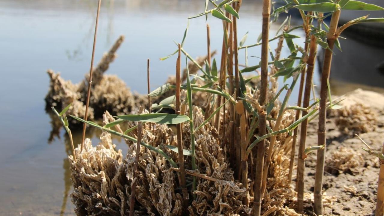 “İleride daha da zor olacaktır”