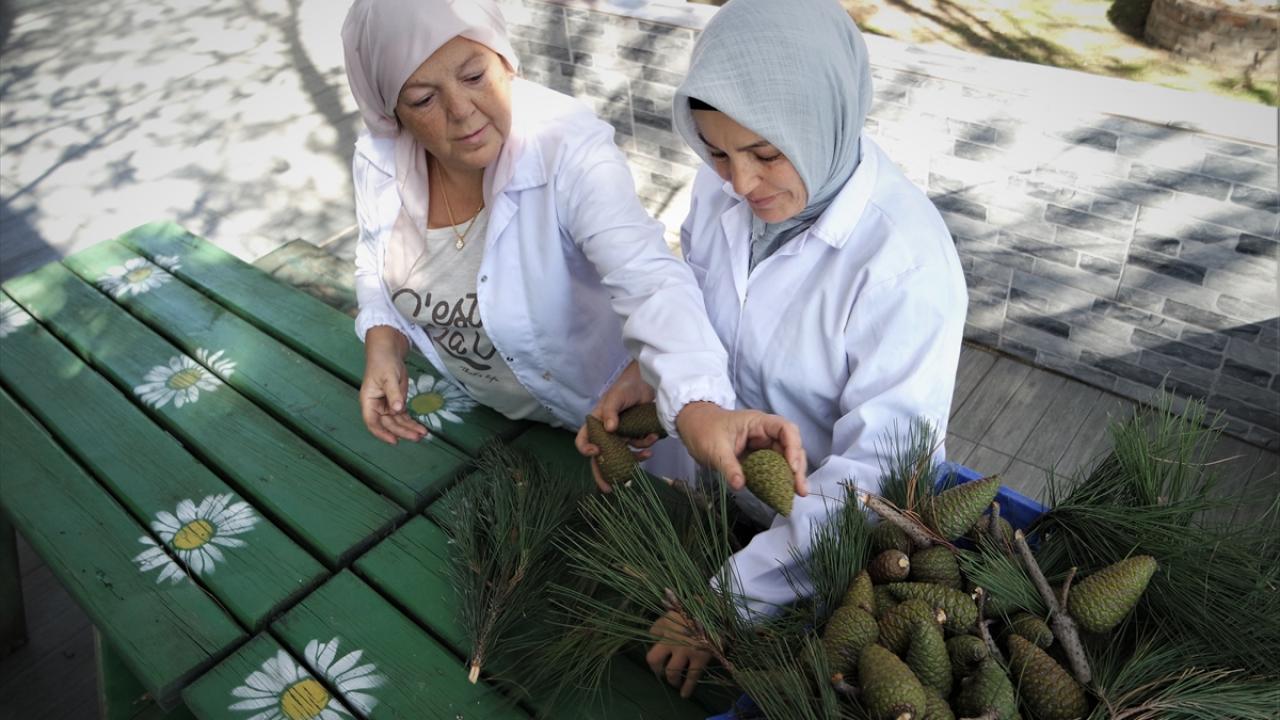 "Kozalak şurubu ve reçeli aynı ürün"