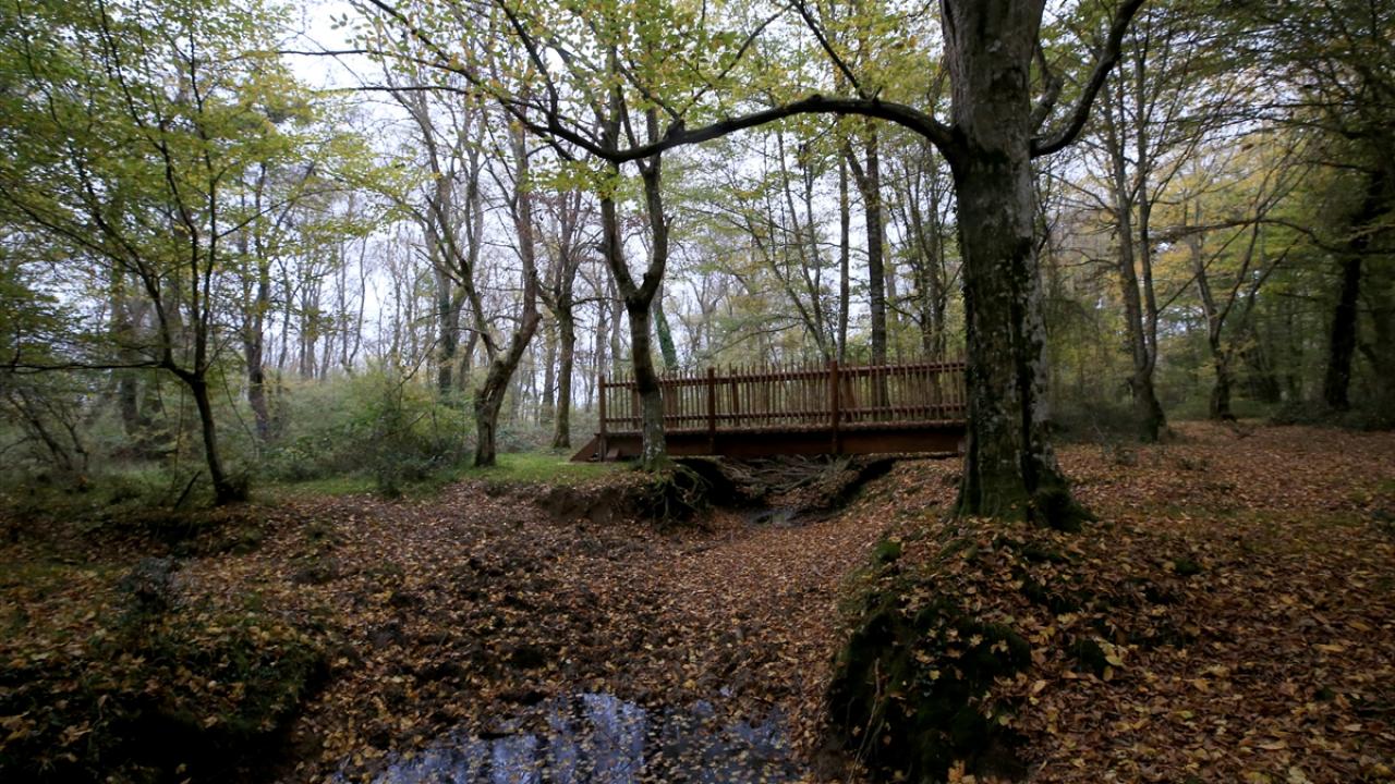 "Ziyaretçilerimizi bu güzellikleri görmeye davet ediyoruz"