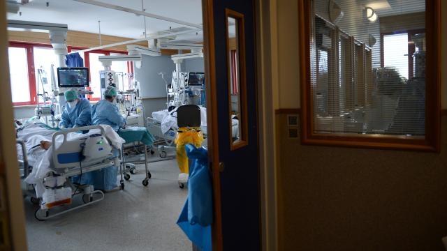 Yeni varyant Avrupaya ulaştı: İlk vaka Belçikada