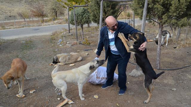 Köpekleri beslemek için 60 kilometre yol gidiyor